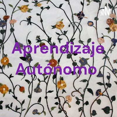 Aprendizaje Autónomo