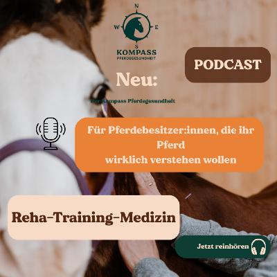 „Im Gespräch mit Josef Kmoch – Training, Prävention und moderne Sportpferde“