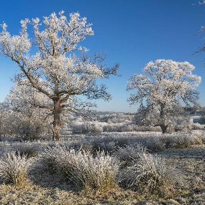 What can we expect in the freezing weather?