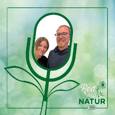 Von Sommerflieder bis Ragweed – Neophyten im Garten