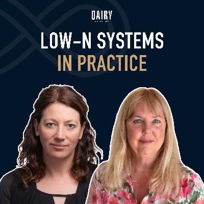 Episode 95 - Low-N Systems in Practice