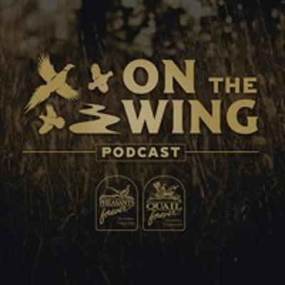 EP. 311: Training a Pointing Dog after Owning a Retriever