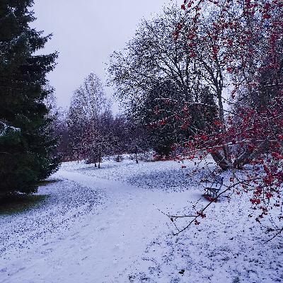 7-vuotiaan outo katoaminen Oulussa 7-vuotiaan outo katoaminen Oulussa