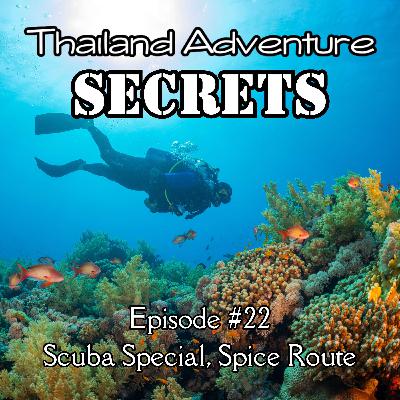 Diving Thailand’s Underwater Legends: From Richelieu Rock to Shark Encounters