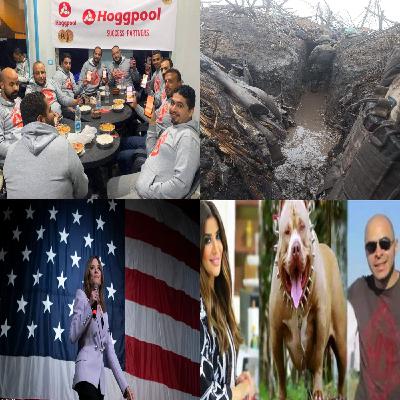 هوج بول وباخموت وترشح وليامسون وصاحب الكلب