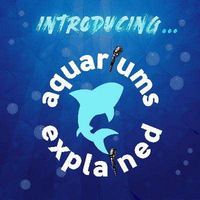 Introducing... Aquariums Explained!