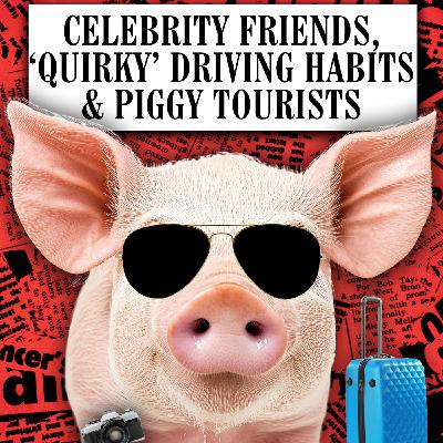 Celebrity friends, ‘Quirky’ Driving Habits & Piggy Tourists