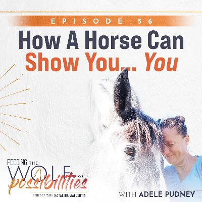 How A Horse Can Show You... You