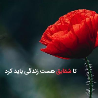 معنی زندگی قسمت اول