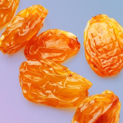 RAISINS, how seagulls eat, and the Salem Witch Trials. An educational episode for sure.