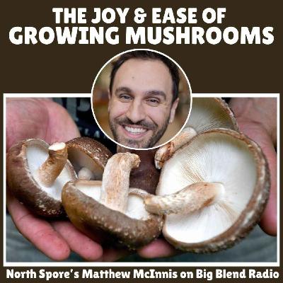 The Joy of Mushroom Gardening with North Spore’s Matthew McInnis