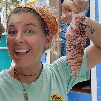 E60 Taylor From Tobacco Caye Marine Station Belize
