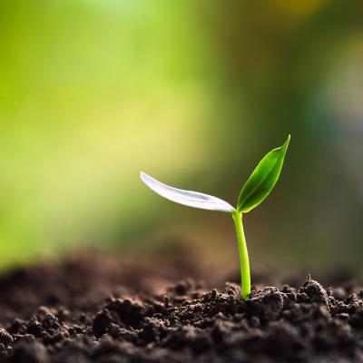 ２１日目(8日) 変わりたいじゃなく、変わってきた。最近の僕ががんばれてる理由。 from Radiotalk