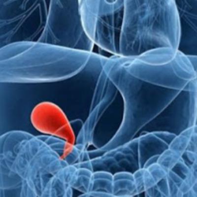 Ep1: Таны цөс өөх боловсруулалтад болон бамбай булчирхайн өвчинд хэрхэн нөлөөлдөг вэ?