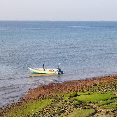 روی موج احساس خوب هستیم شماره ۴۲