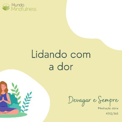 "Devagar e Sempre" - 352 de 365 - Lidando com a dor