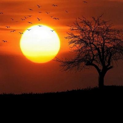 [ 1.1 廣東話聖經故事 - 施洗約翰作見證 ]..... 恩典 | 耶穌基督 | 獨生子 | 太初有道 | 道成肉身 | 你聽我講