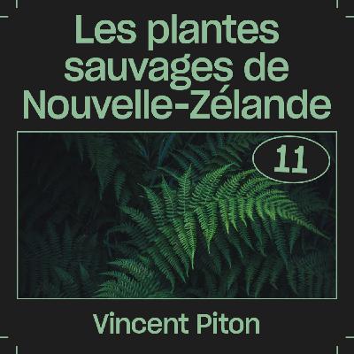 #11 — À la recherche des plantes sauvages de Nouvelle-Zélande, avec Vincent Piton