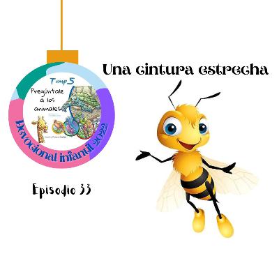 Episodio 33: Una cintura estrecha.