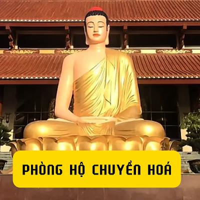 PHÒNG HỘ CHUYỂN HOÁ - Đường Về Tỉnh Thức #11