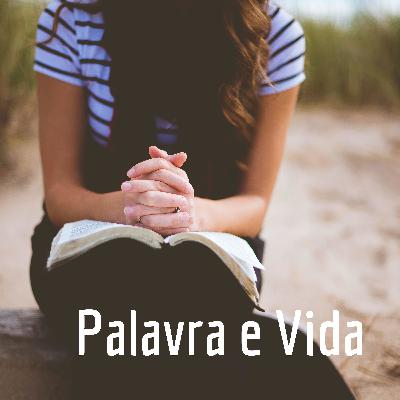 Palavra e Vida - Festa de Assunção de Nossa Senhora