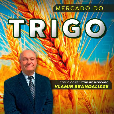 Trigo: brasileiros estão comendo menos massas, biscoitos e derivados?