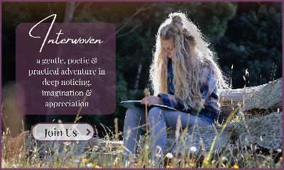 {podcast} the collective noun for humans is a wilderness {podcast} the collective noun for humans is a wilderness