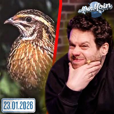 #1614 | Florentin fragt sich: Also WAS soll bitte eine WACHTEL sein?