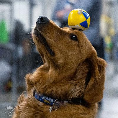 S3.E14. "Owen Power's New Partner? Air Bud"
