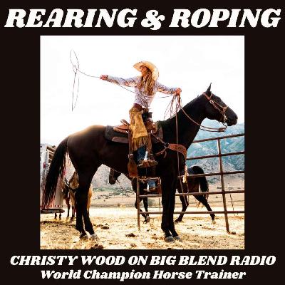 Horse Behavior: Rearing and Roping Explained