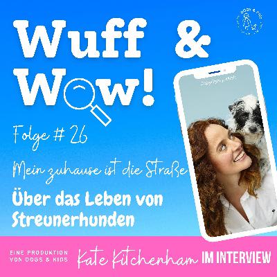 #26 Mein zuhause ist die Straße. Über das Leben von Streunerhunden    Kate Kitchenham im Interview