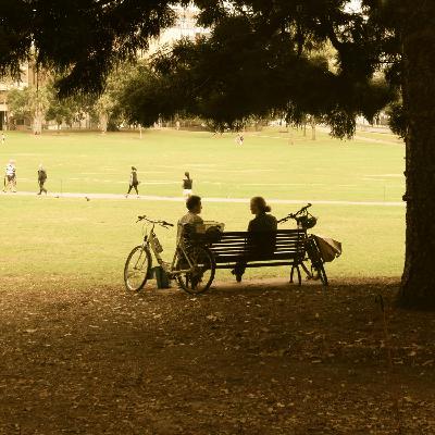 Can you manifest friendships?
