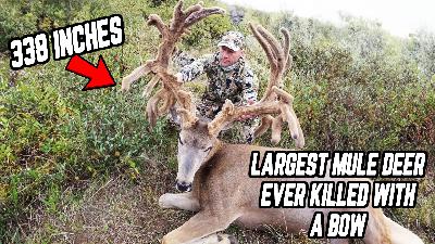 HOW TO Kill Giant MULE DEER