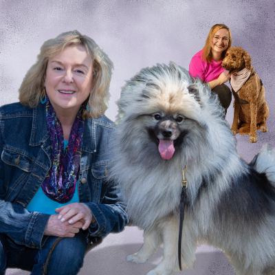 How to Overcome Fear of Dogs