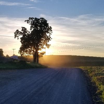 016: TC-Is Optimism Enough? 016: TC-Is Optimism Enough?