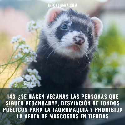 143- ¿SE HACEN VEGANAS LAS PERSONAS QUE SIGUEN VEGANUARY?, PROHIBIDA LA VENTA DE MASCOTAS Y UNA CONCHA DE ORO | Infoveg 143- ¿SE HACEN VEGANAS LAS PERSONAS QUE SIGUEN VEGANUARY?, PROHIBIDA LA VENTA DE MASCOTAS Y UNA CONCHA DE ORO | Infoveg