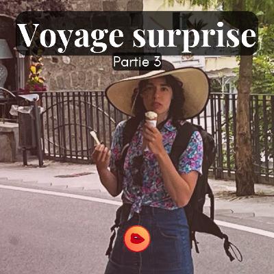 Voyage Surprise 3/3 - Miaou