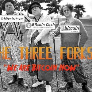 Block Digest
