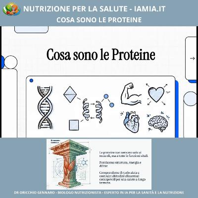 #079-26 COSA SONO LE PROTEINE