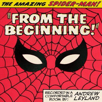 036 The Amazing Spider-Man From The Beginning