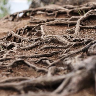 Securing the Soil Beneath Our Feet: Mapping and Managing Australia's Hidden Asset Securing the Soil Beneath Our Feet: Mapping and Managing Australia's Hidden Asset