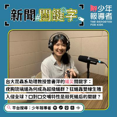 【台大昆蟲系助理教授曾書萍的蟻災關鍵字】疣胸琉璃蟻為何成為超級蟻群？狂蟻靠雙線生殖入侵全球？口對口交哺特性是殺死蟻后的關鍵？