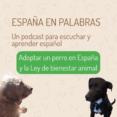 Adoptar un perro en España y la Ley de bienestar animal