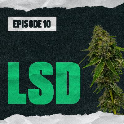 LSD LSD