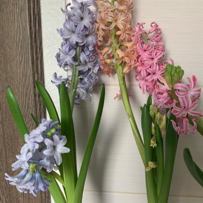 Введение в экологию. Часть 1