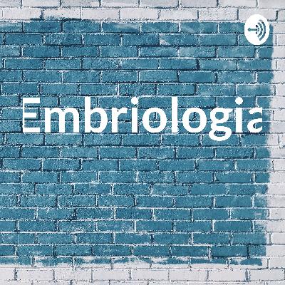 Embriologia