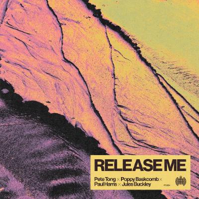 Release Me (ft. Jules Buckley) (DJ Landan Time Remix)Free Download