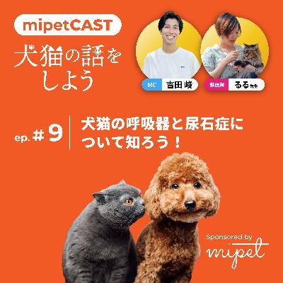 第９回「犬猫の呼吸器と尿石症について知ろう！」