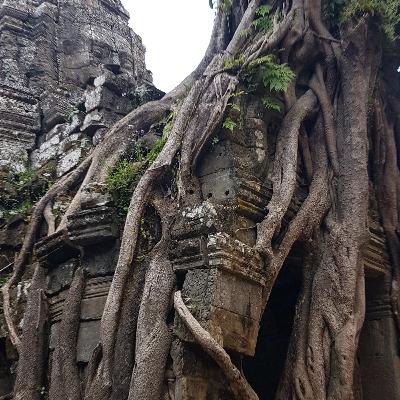 Angkor Wat story 7 - lets come in balance and harmony in diversity together