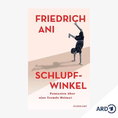 Neue Bücher: "Schlupfwinkel" von Friedrich Ani